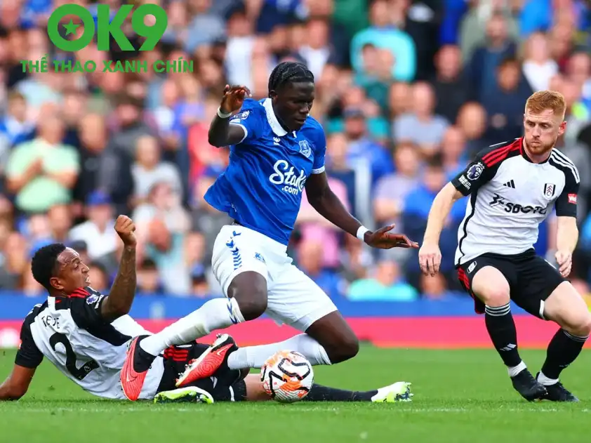 everton 204006